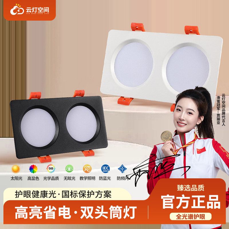 双头筒灯led超薄嵌入式16*8cm长方形20*10公分格栅吊顶过道天花灯