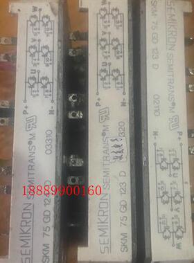 BSM15GD100D/BSM15GD120D/SKM22G