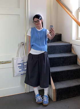 小众蓝色麻花针织马甲后背设计感背心女2026新款叠穿打底上衣套装