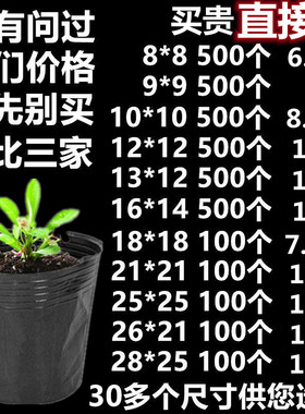 育苗营养杯育苗袋大号一次性花盆黑色种植塑料育苗杯育苗盆营养钵