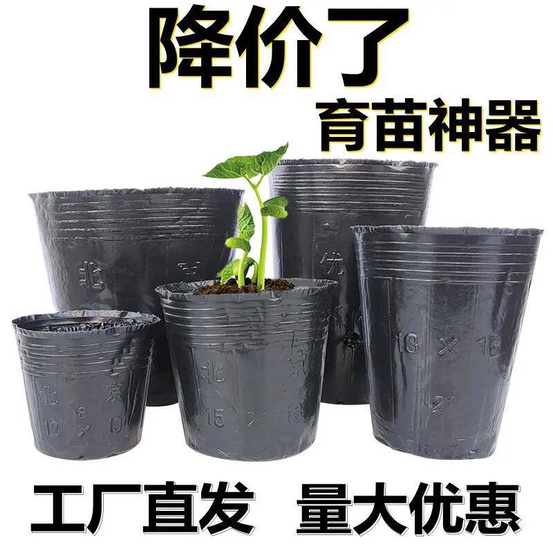 营养钵育苗杯育苗杯营养盆一次性塑料花盆育苗盆育苗袋大号草花