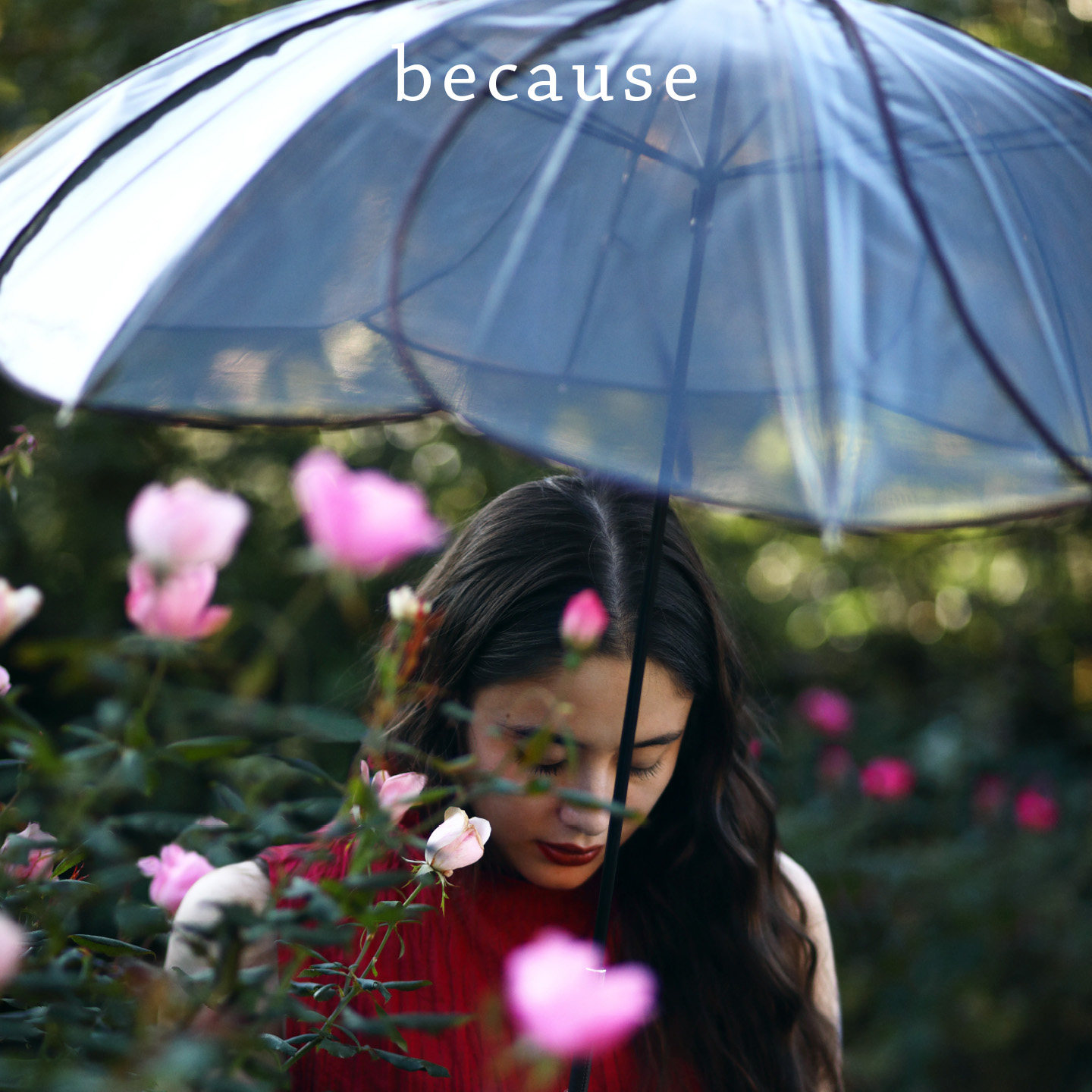 because碧蔻资透明长柄雨伞女 花瓣伞轻便防风直伞耐用清新复古风