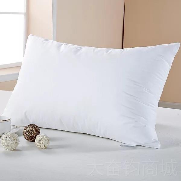正品60x85/65床x80 859 0 100号靠枕芯头沙发办大公室抱枕靠垫芯