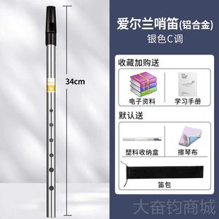 正品爱尔兰哨笛初学者入门属笛子笛6金孔C调D调高低音直笛竖乐器