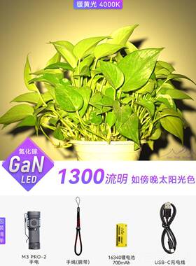 正品在路上M3防 PBRO2迷你强光US手电筒身可充电小手电筒户外防水