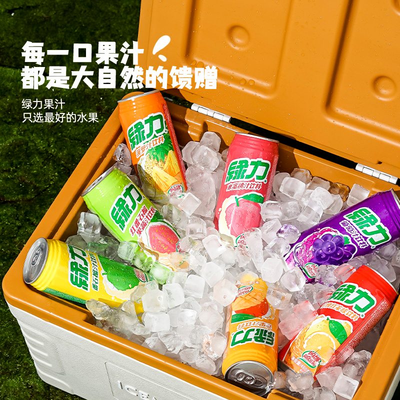 绿力菠萝汁果汁风味台湾490ml