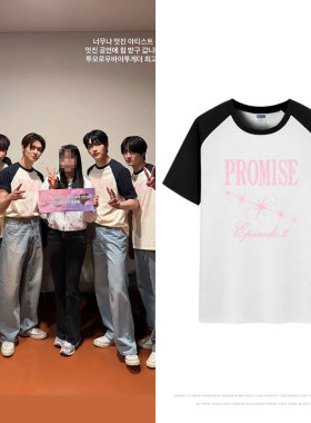 txt2025ActPromise演唱会周边首尔站同款衣服插肩纯棉印花短袖T恤