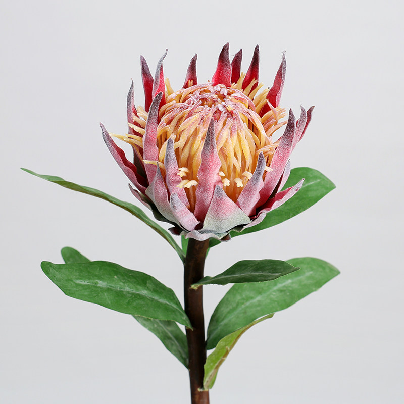 北欧现代仿真带霜帝王花霸王花客厅餐桌茶几花束绢花假花软装摆设