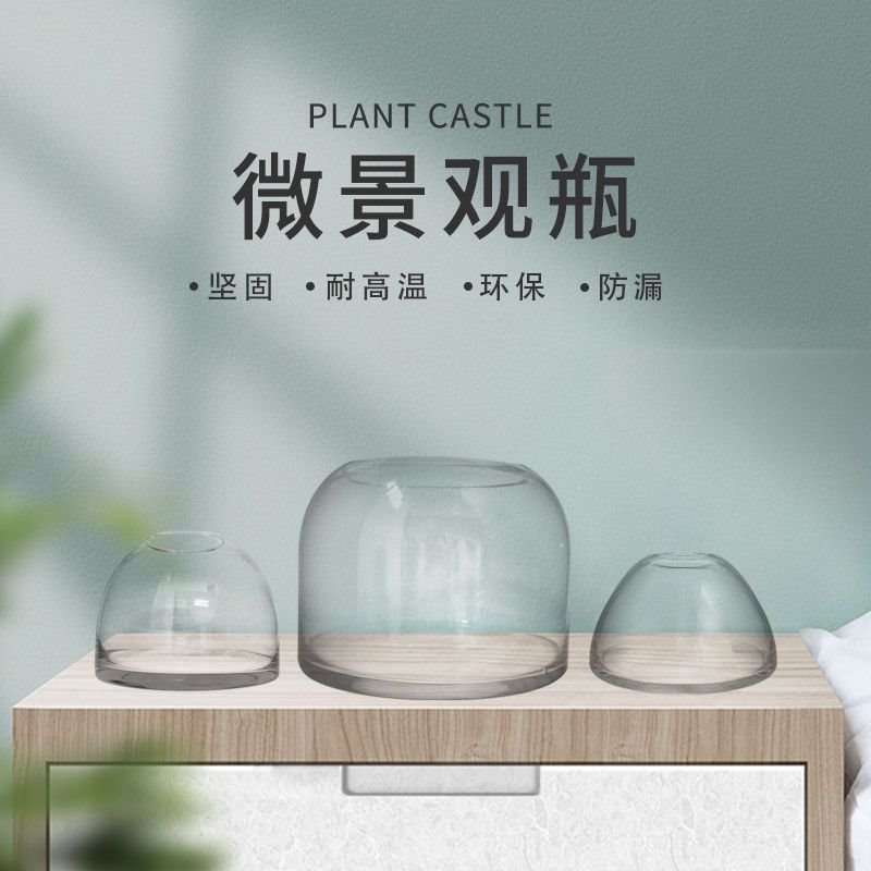 苔藓闷养盆器玻璃容器微景观微观植物生态瓶瓶子花盆微景缸空瓶