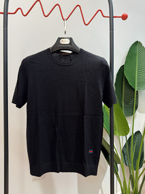 男装2024年秋冬新款薄款商务休闲短袖毛衣羊毛衫17007