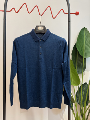 2024羊毛衫男秋冬新款针织毛衣中年爸爸装纯色T恤领薄款16002