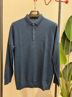 2024羊毛衫男秋冬新款翻领针织中年爸爸装宽松休闲T恤领168051