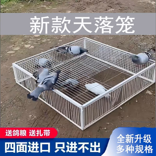 新款加固加厚鸽子天落笼撞门笼活络门信鸽进笼口进门自动门鸽笼