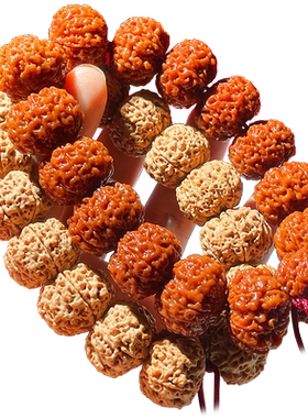 心佑尼泊尔六瓣大金刚凤毛麟角