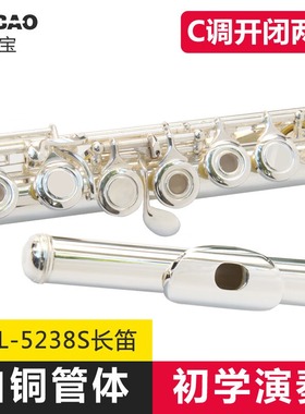 津宝长笛乐器c调16孔开闭孔两用附E键17孔儿童笛子5238/6248镀银