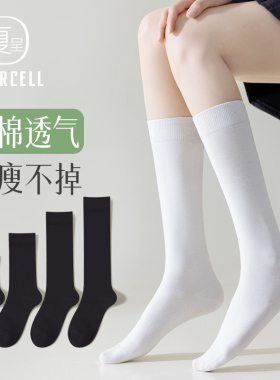 小腿袜女秋纯棉日系JK白色长筒袜显瘦半腿中筒高筒及膝女生长袜