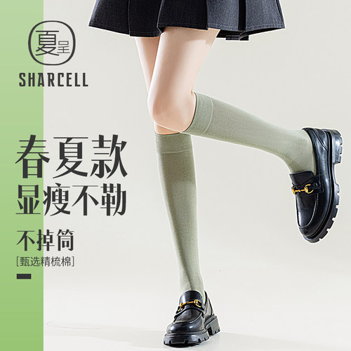 莫兰迪色纯棉小腿袜显瘦不勒