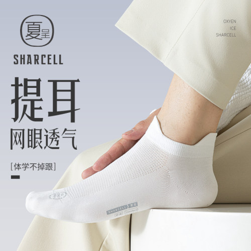 纯棉提耳男士短袜网眼透气