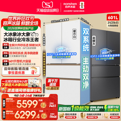 容声大冰象601冰箱行业冷冻王者