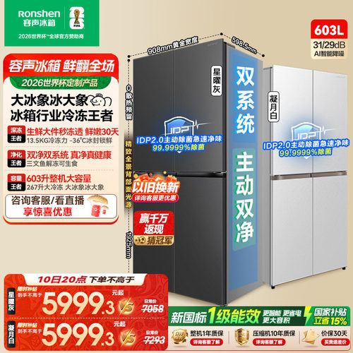 容声大冰象603冰箱行业冷冻王者