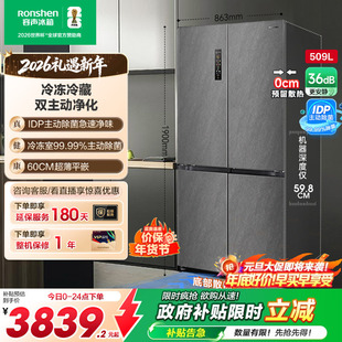 容声509L双净超薄平嵌入式 十字对开双开四门冰箱家用风冷无霜一级