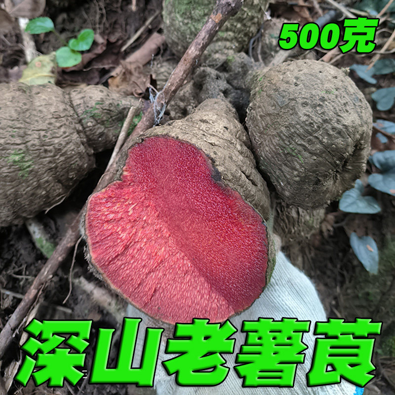 野生薯莨血三七红药子血母鸡血莲朱砂七染布酿酒喂牛现采新鲜老薯