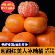 当季鲜果红美人冰糖橘无籽爆汁鲜甜新鲜水果蜜桔整箱黄皮大果蜜橘