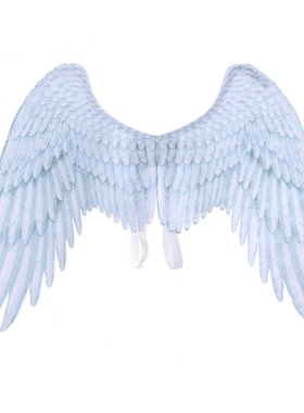 mardi gras万圣节道具外贸男孩女孩儿童黑色翅膀白色翅膀天使翅膀