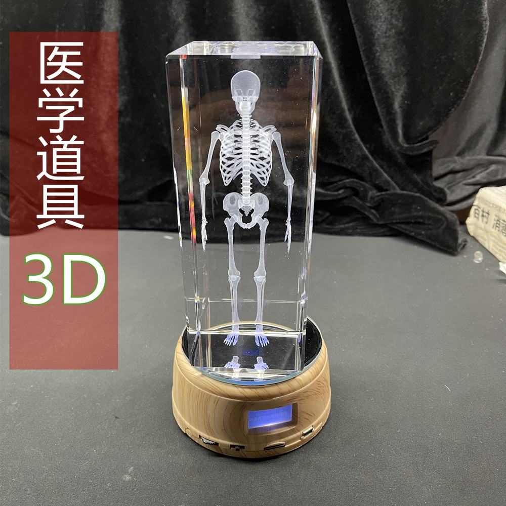 人体结构图激光道具水晶工艺品