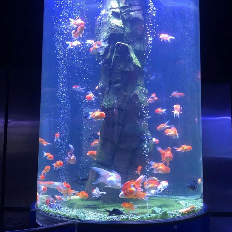 新定做亚克力弧形圆柱水族箱大型圆柱鱼缸定做专业海水缸创意海品