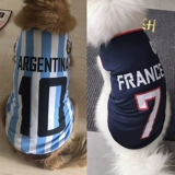 Летом Big Dog Clothing, крупные золотые волосы Golden Ratabladama Samsic Alaska Jersey