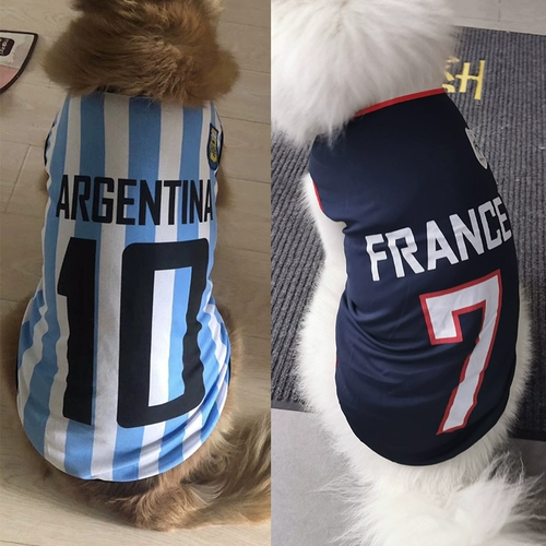 Летом Big Dog Clothing, крупные золотые волосы Golden Ratabladama Samsic Alaska Jersey