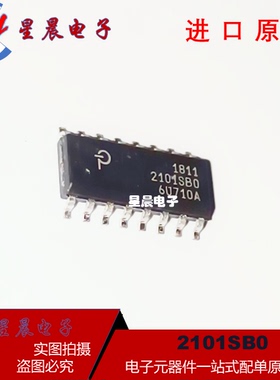 全新原装 2101SB0 2101SBO 电源管理芯片 贴片SOP16 现货可直拍