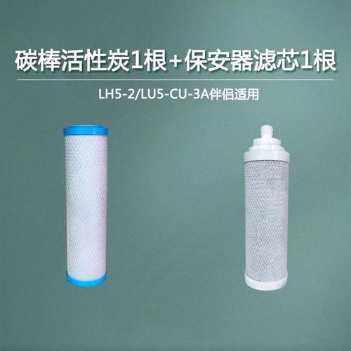 立升活性炭滤芯保安器