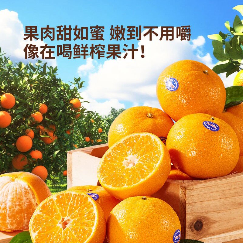 山姆澳洲进口2PH柑3kg爆汁澳柑桔子橘子嫩到不用嚼鲜榨果汁果肉甜
