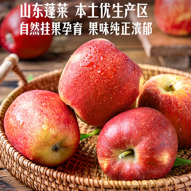 山姆鲁丽苹果山东蓬莱果肉脆嫩新鲜水果爆汁原生蜜甜苹果清香礼盒