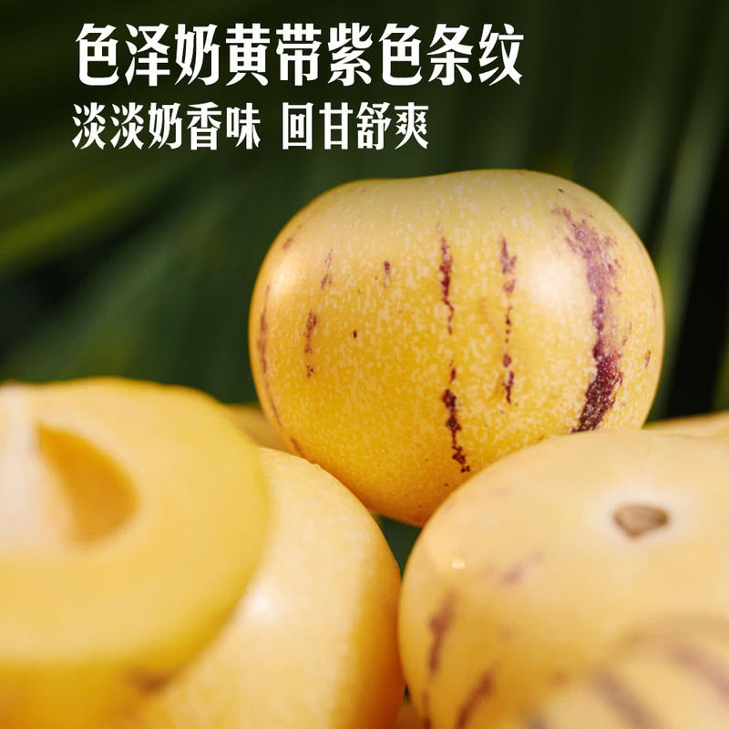 山姆云南人参果1kg新鲜水果奶黄紫色条纹果香味清肉细腻多汁爆汁
