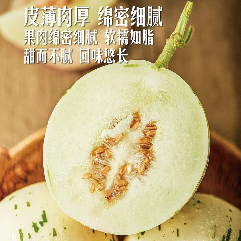 山姆代购山东聊城星空蜜瓜2个2.4kg装新鲜水果哈密瓜甜瓜皮薄肉厚