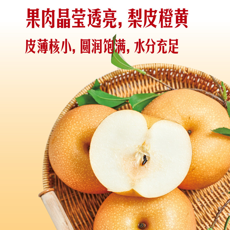 山姆代购新美月梨3kg酥脆清甜汁水丰沛山东莱阳新鲜水果梨肉洁白