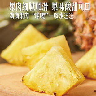 山姆海南金钻凤梨大菠萝自然成熟汁水丰盈糖度14+新鲜当季水果2粒