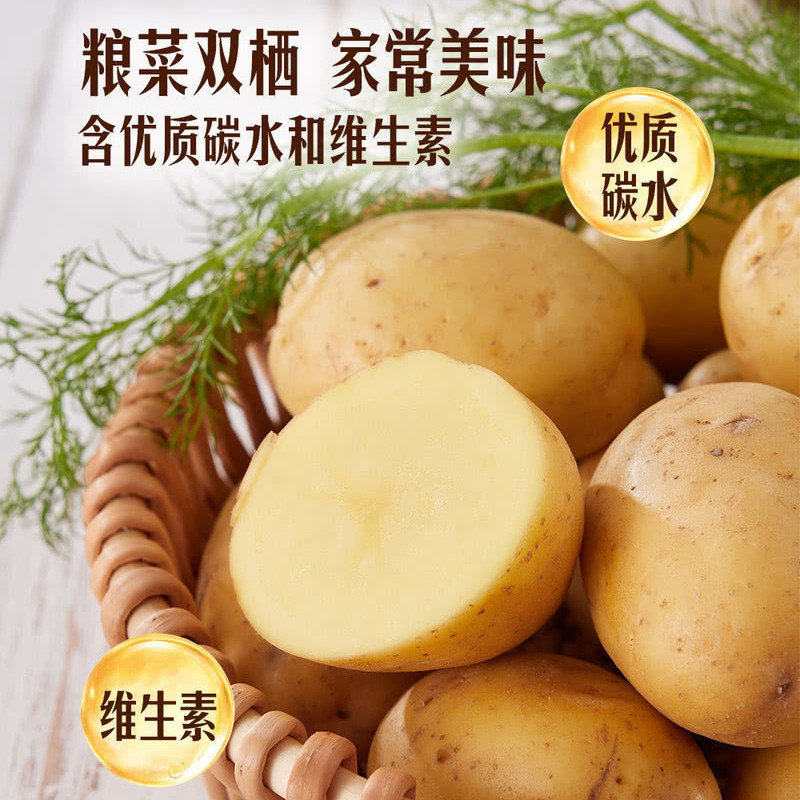 山姆超市新鲜基地直供有机土豆蔬菜凉拌清炒马铃薯洋芋粉糯香甜