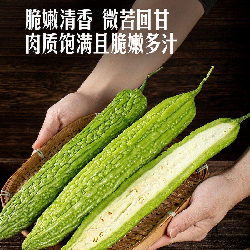 山姆珍珠苦瓜1kg新鲜蔬菜清凉解腻脆嫩无渣肉厚清香脆嫩多汁微苦