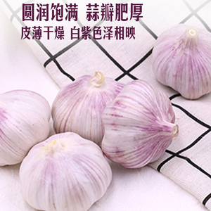 山姆正宗山东金乡大蒜紫蒜香蒜新鲜蔬菜宝菜干大蒜头辛辣醇香1kg