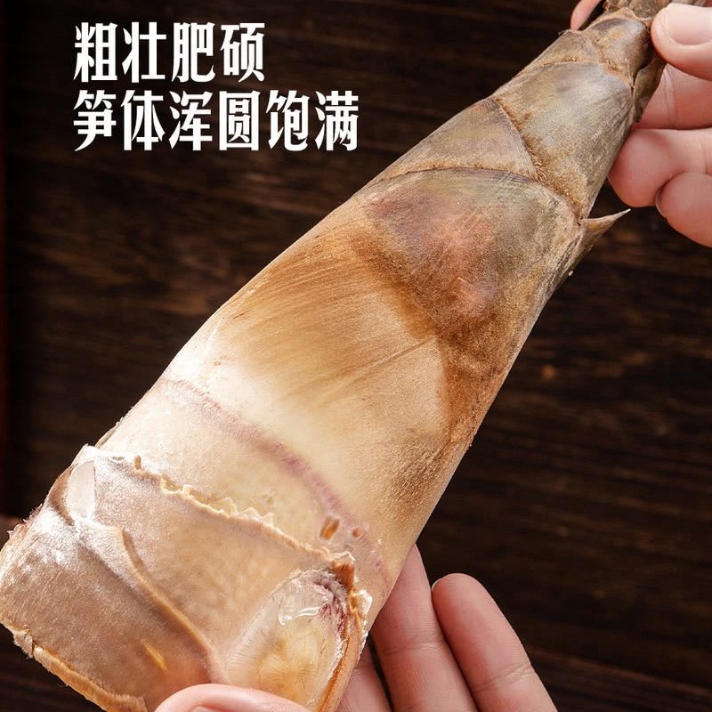 山姆云南普洱高海拔高山龙竹甜笋1.5kg凉拌清炒火锅炖煮脆爽清甜