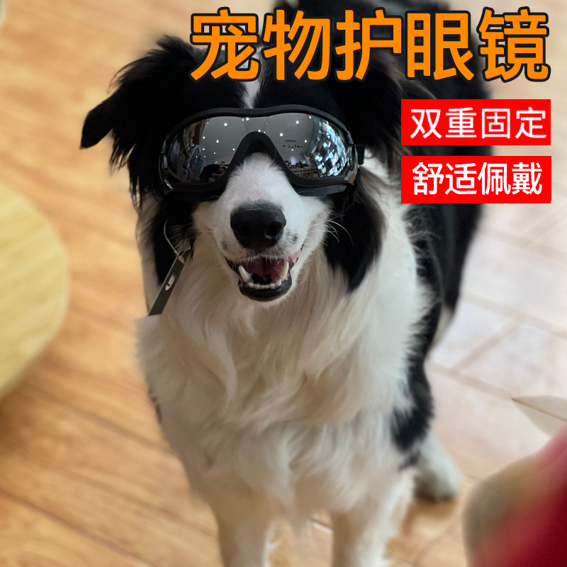 狗狗眼镜泰迪太阳镜宠物防风镜