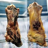 云南特产寻甸清真散养土黄牛金标牛干巴精选1000g真空厂家直销