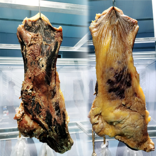 散养土黄牛腌腊肉珍骋清真牛干巴