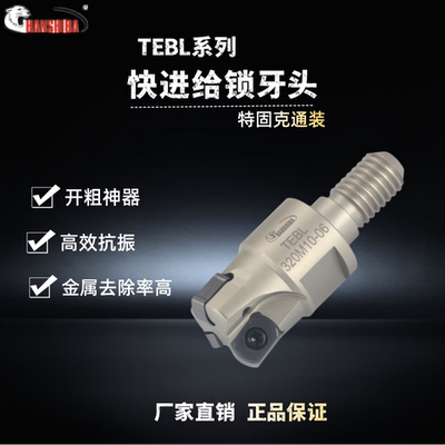 悍狮霸快进给锁牙头TEBL特固克BLMP06双面铣刀片开粗可换式刀头