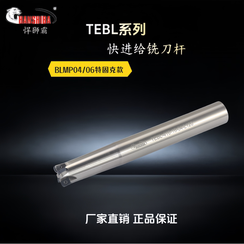 悍狮霸数控快进给杆TEBL特固克BLMP双面快进给铣刀高效开粗刀杆