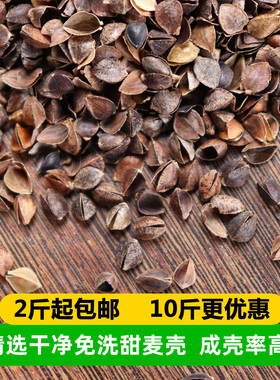 荞麦皮10斤散装荞麦壳枕芯填充物三角麦壳婴儿颈椎赤峰精选乔麦皮